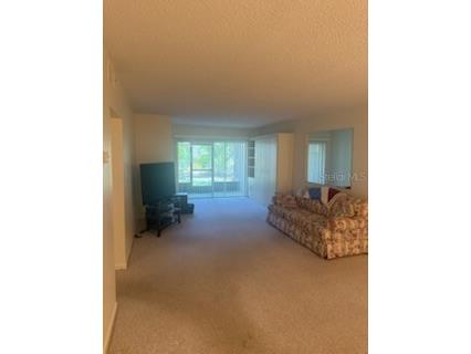 861 Maple Court #104 Dunedin FL 34698 TB8387410 image12