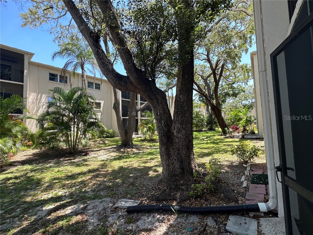 861 Maple Court #104 Dunedin FL 34698 TB8387410 image2