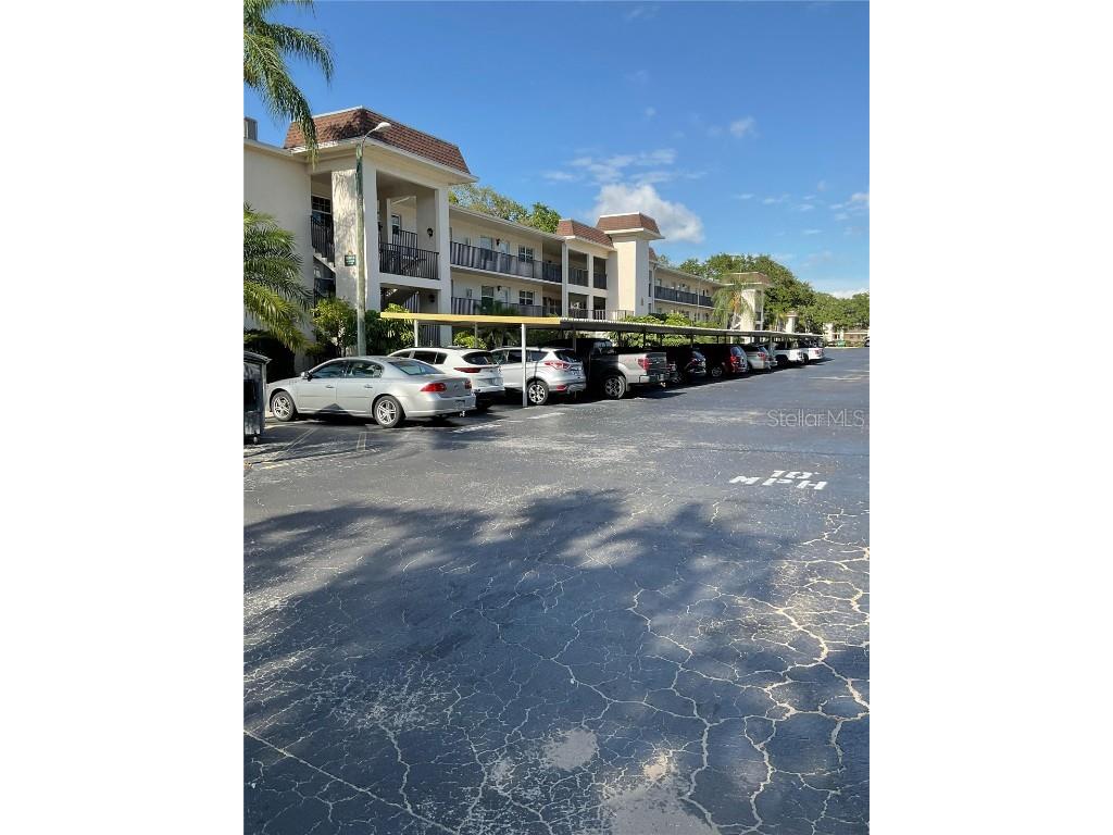 861 Maple Court #207 Dunedin FL 34698 W7854319 image1
