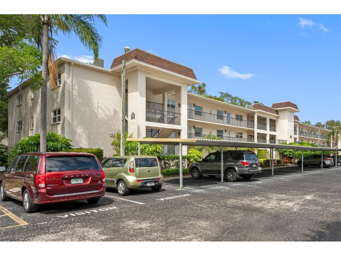 861 Maple Court #303 Dunedin FL 34698 U8193664 image1