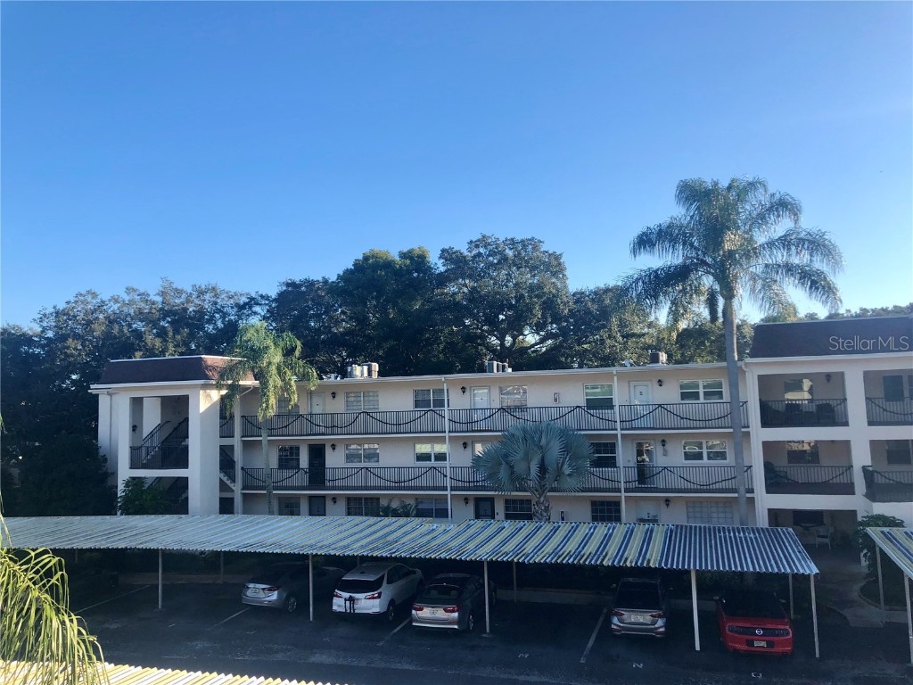 861 Maple Court #307 Dunedin FL 34698 TB8355621 image1