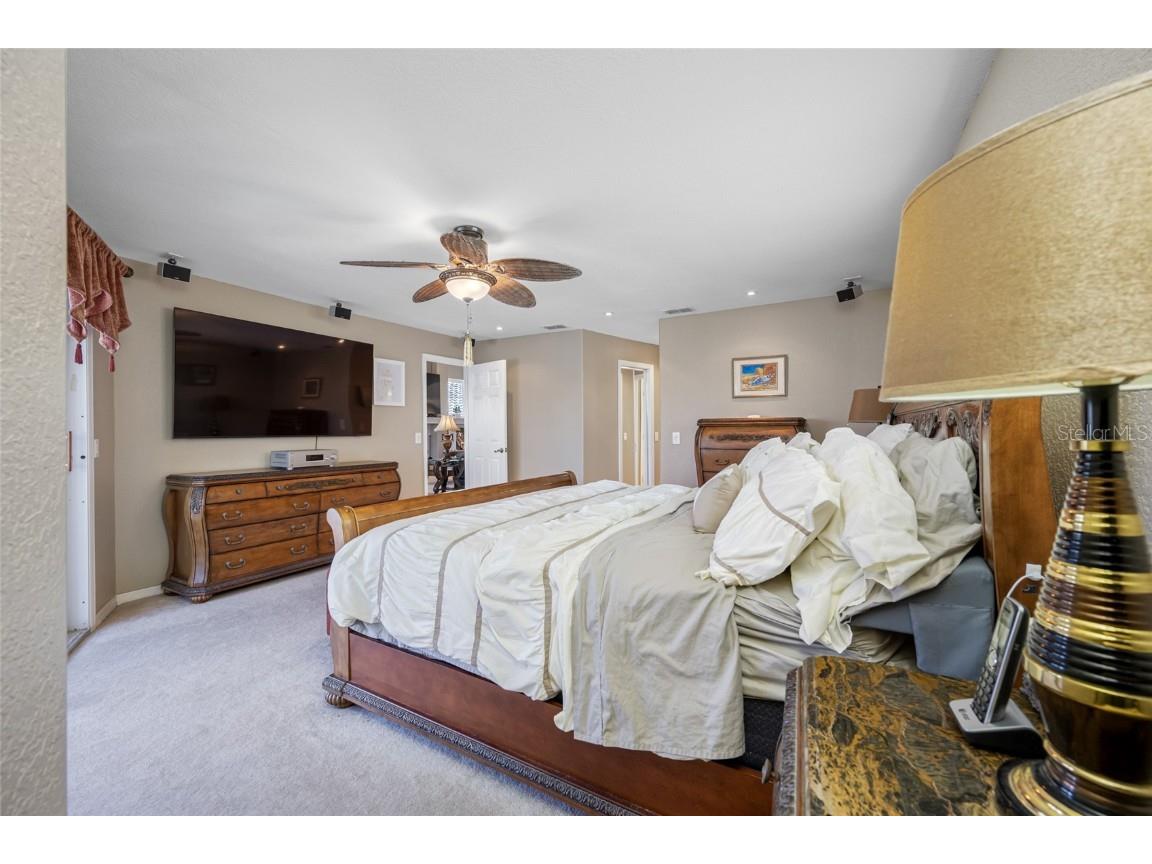 861 Symphony Isles Boulevard Apollo Beach FL 33572 - TAMPA BAY TB8407943 image27