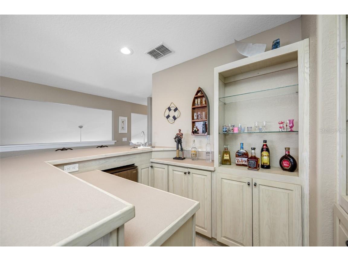 861 Symphony Isles Boulevard Apollo Beach FL 33572 - TAMPA BAY TB8407943 image47