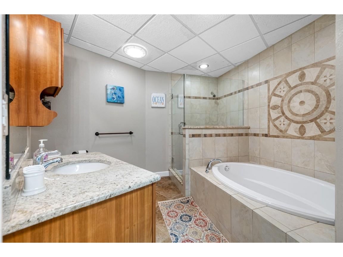 861 Symphony Isles Boulevard Apollo Beach FL 33572 - TAMPA BAY TB8407943 image69