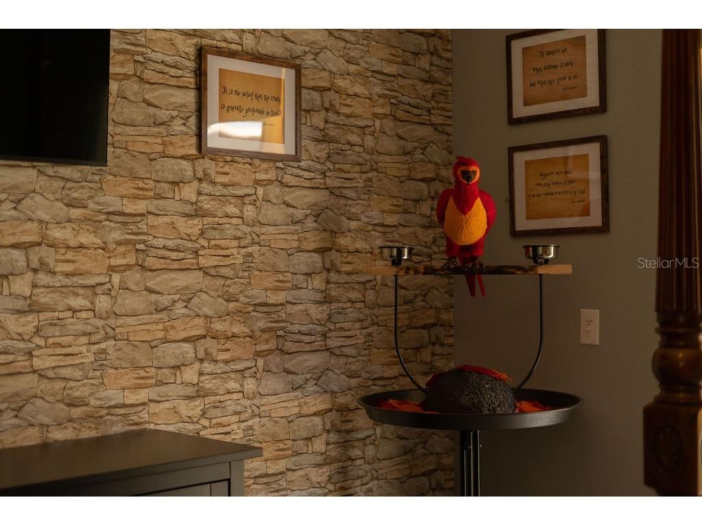 8610 Sunrise Key Drive Kissimmee FL 34747 O6409259 image19