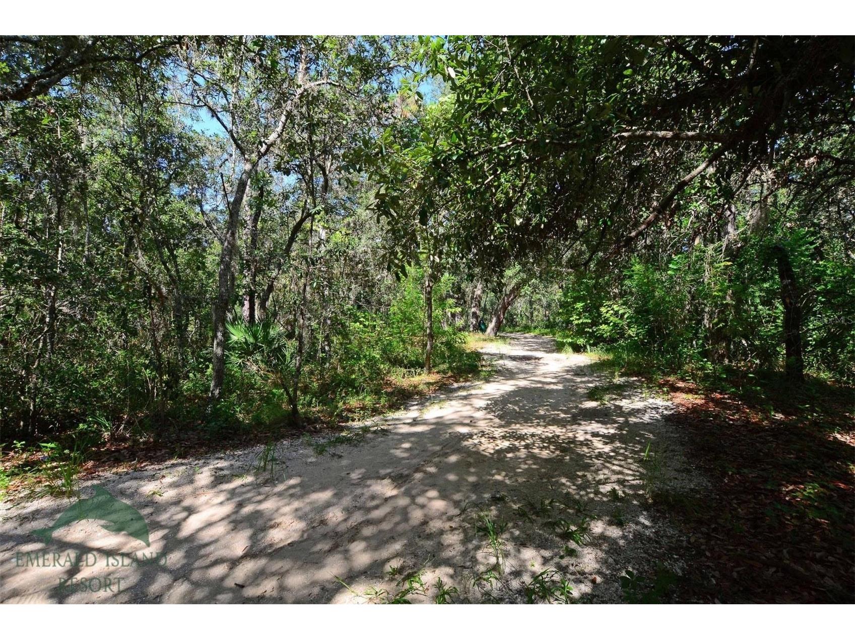 8610 Sunrise Key Drive Kissimmee FL 34747 O6409259 image43