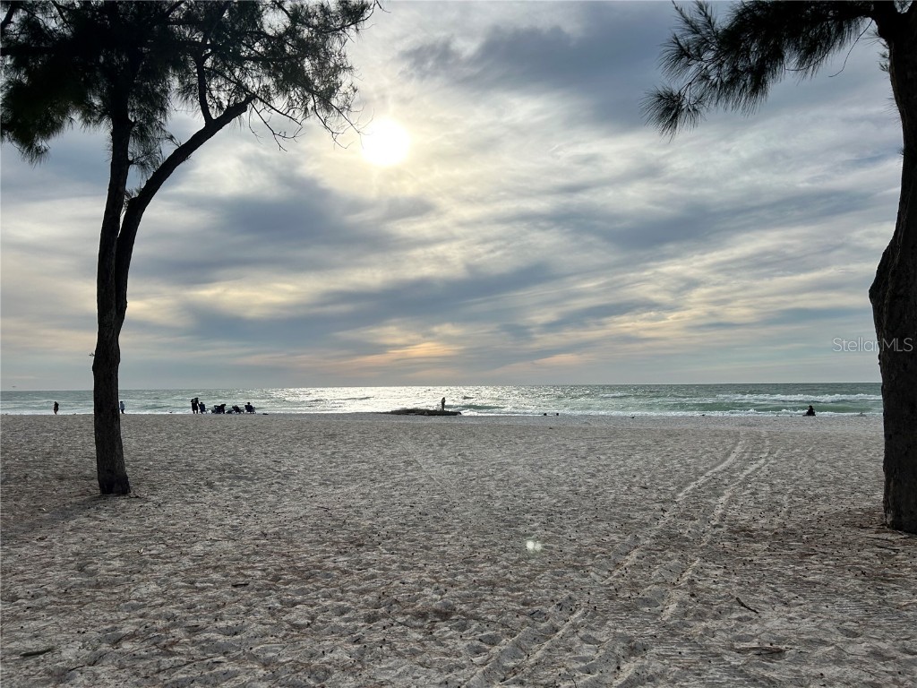 8611 51st Avenue W Bradenton FL 34210 A4674420 image27