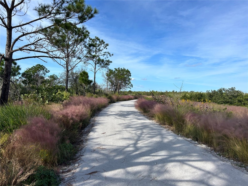 8611 51st Avenue W Bradenton FL 34210 A4674420 image28