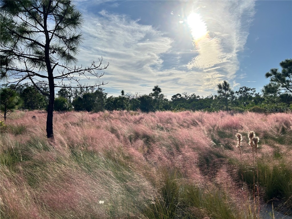 8611 51st Avenue W Bradenton FL 34210 A4674420 image29