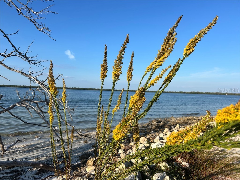 8611 51st Avenue W Bradenton FL 34210 A4674420 image30