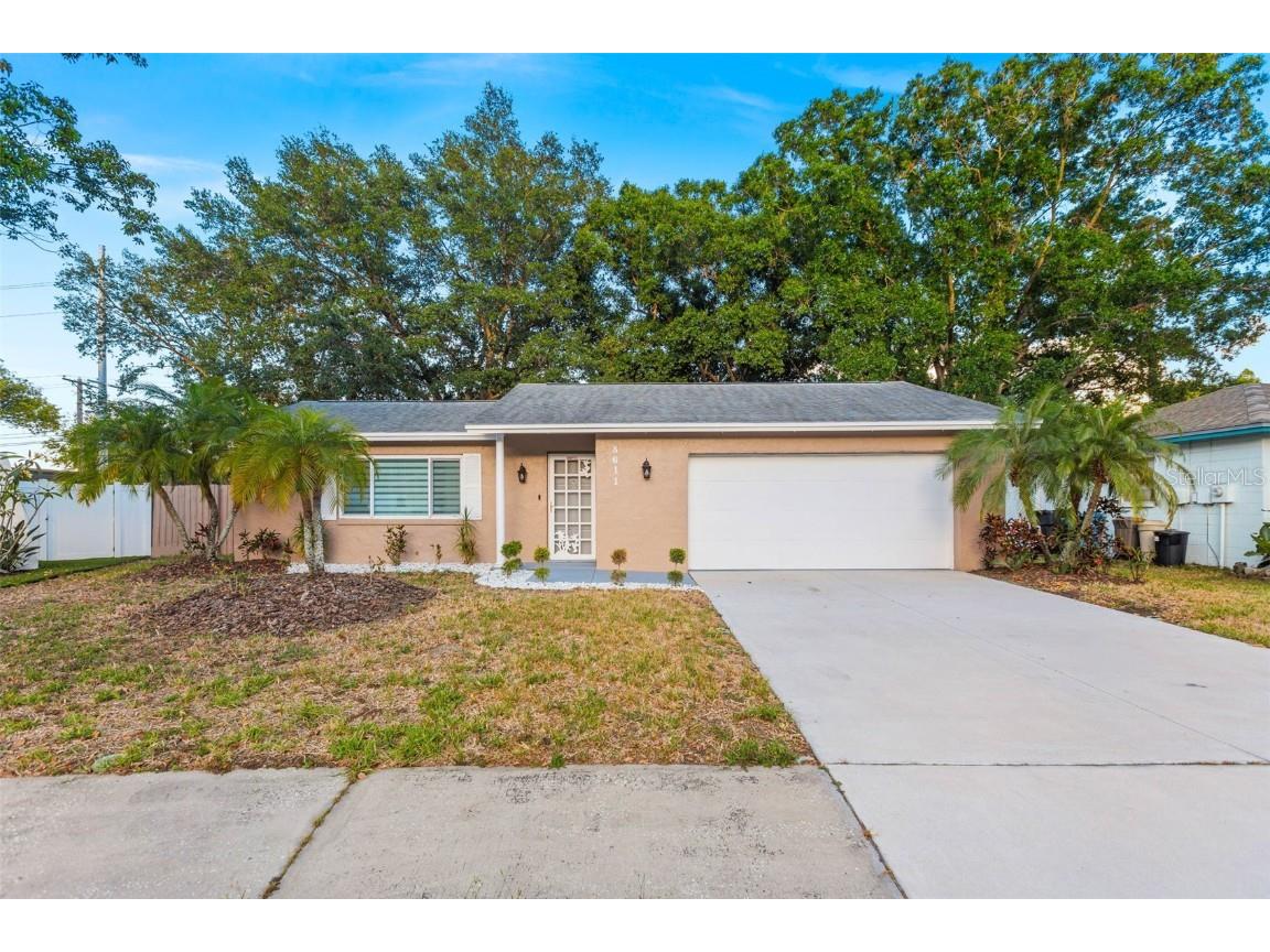 8611 Barkwood Place Tampa FL 33615 T3439990 image1