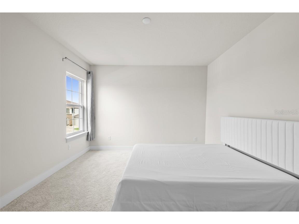 8612 Ivy Stark Boulevard Wesley Chapel FL 33545 TB8397651 image22