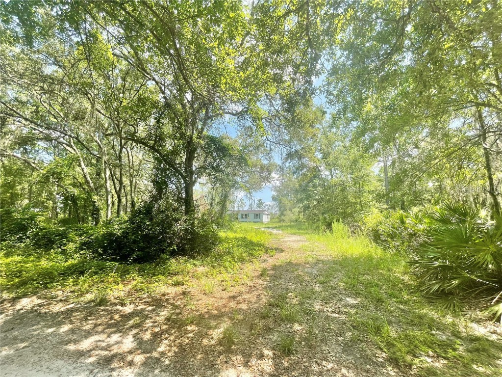 8612 SW 156th Place Dunnellon FL 34432 OM660538 image1