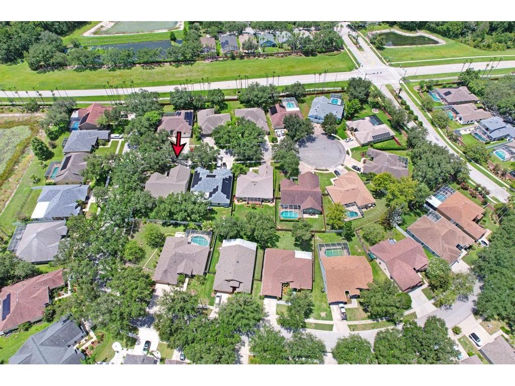 8612 Swann Ridge Ct Tampa FL 33647 TB8528424 image31