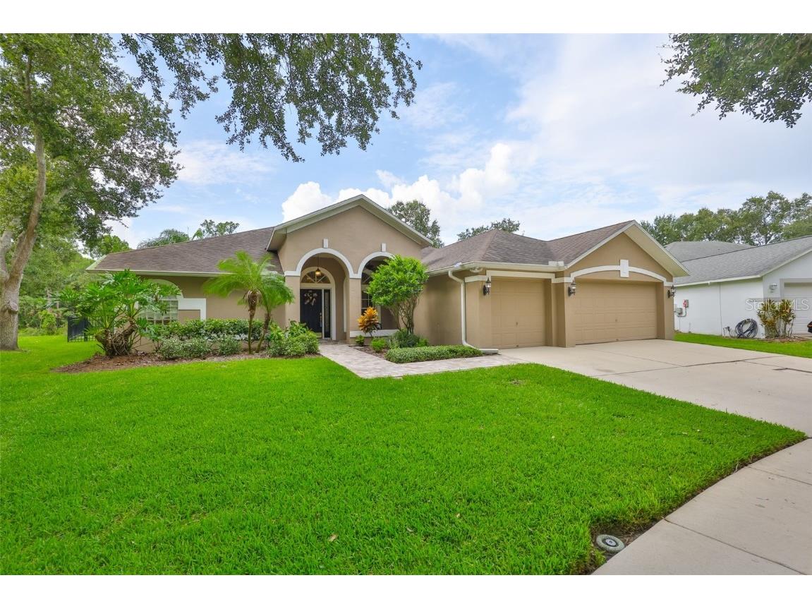 8613 Herons Cove Place Tampa FL 33647 TB8410546 image11