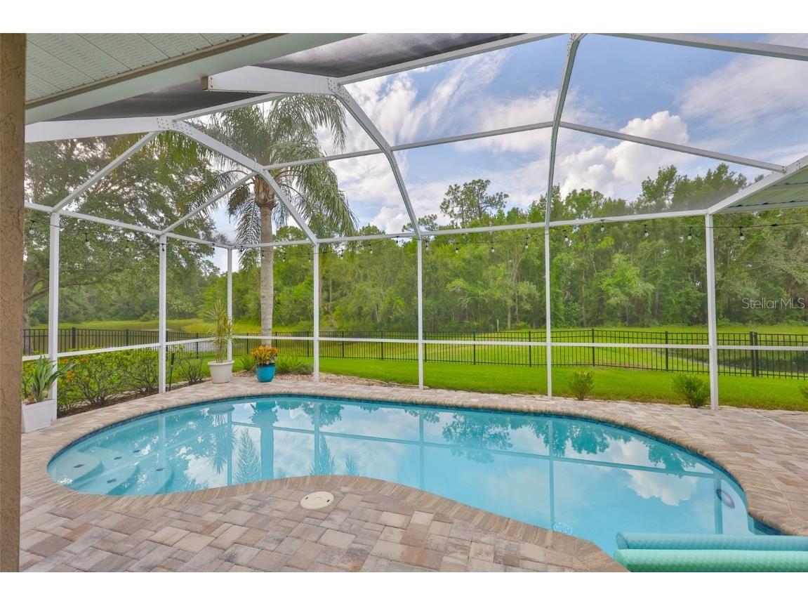 8613 Herons Cove Place Tampa FL 33647 TB8410546 image2