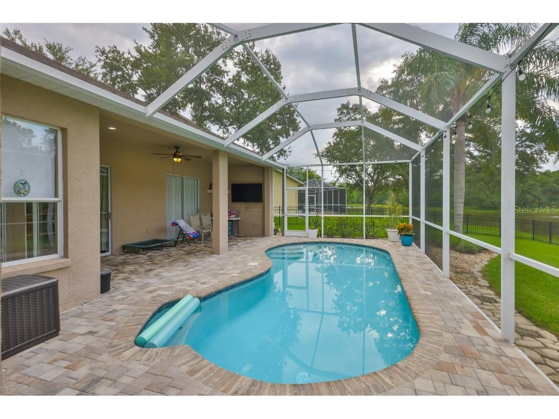 8613 Herons Cove Place Tampa FL 33647 TB8410546 image4