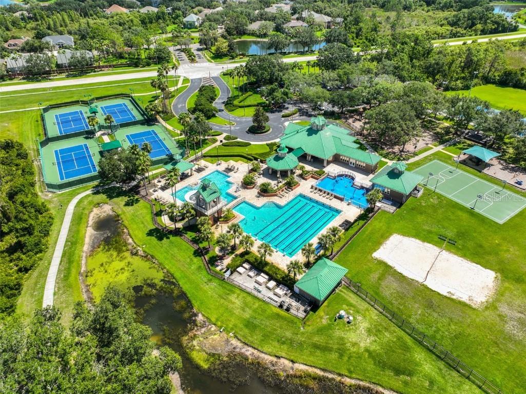 8613 Herons Cove Place Tampa FL 33647 TB8410546 image41