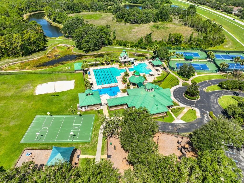 8613 Herons Cove Place Tampa FL 33647 TB8410546 image42