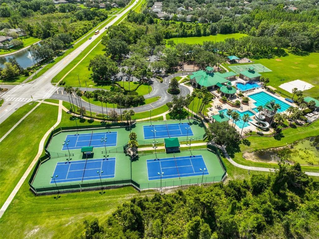 8613 Herons Cove Place Tampa FL 33647 TB8410546 image43