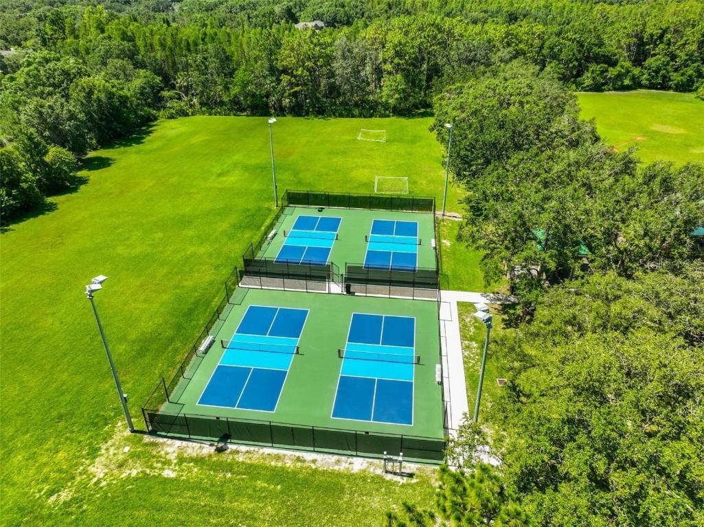 8613 Herons Cove Place Tampa FL 33647 TB8410546 image44