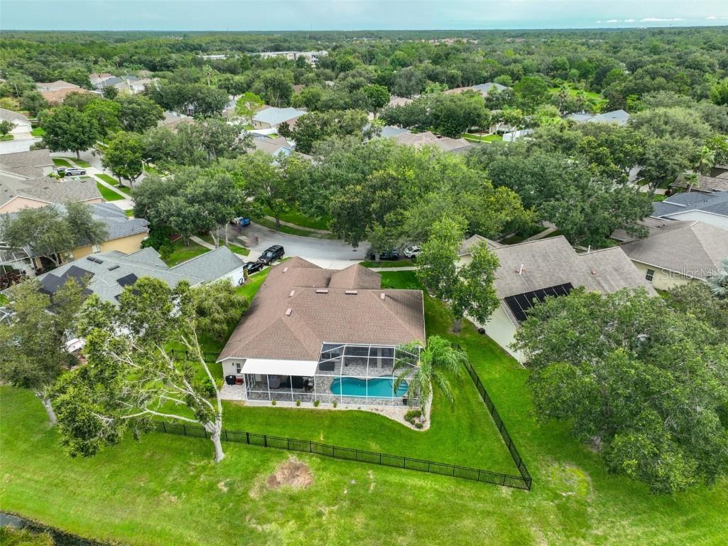 8613 Herons Cove Place Tampa FL 33647 TB8410546 image46