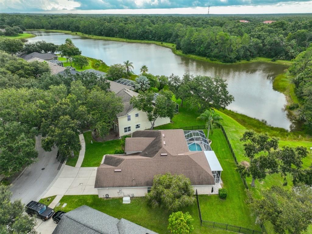 8613 Herons Cove Place Tampa FL 33647 TB8410546 image48