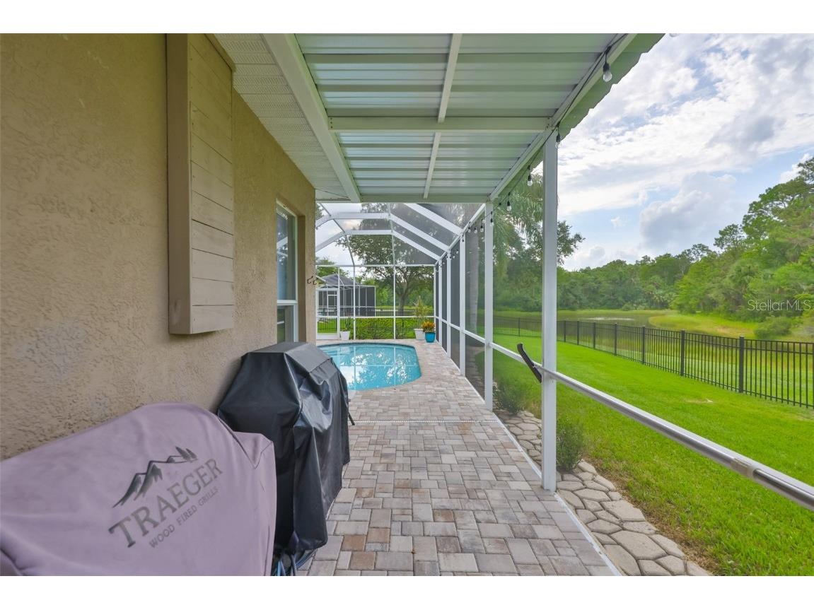 8613 Herons Cove Place Tampa FL 33647 TB8410546 image5