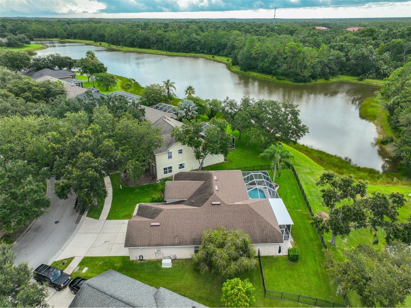 8613 Herons Cove Place Tampa FL 33647 TB8410546 image50