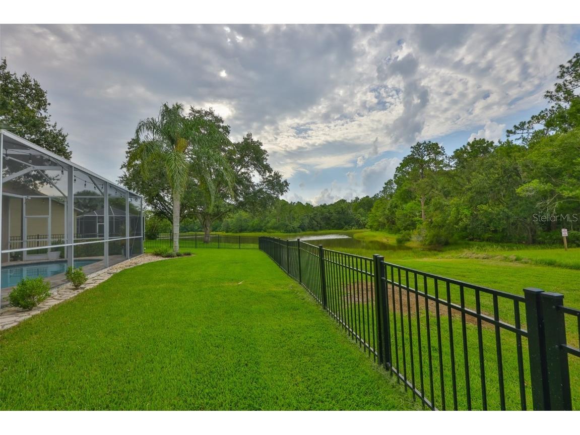 8613 Herons Cove Place Tampa FL 33647 TB8410546 image7
