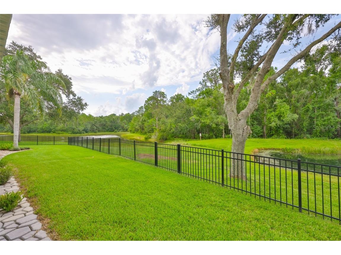 8613 Herons Cove Place Tampa FL 33647 TB8410546 image8