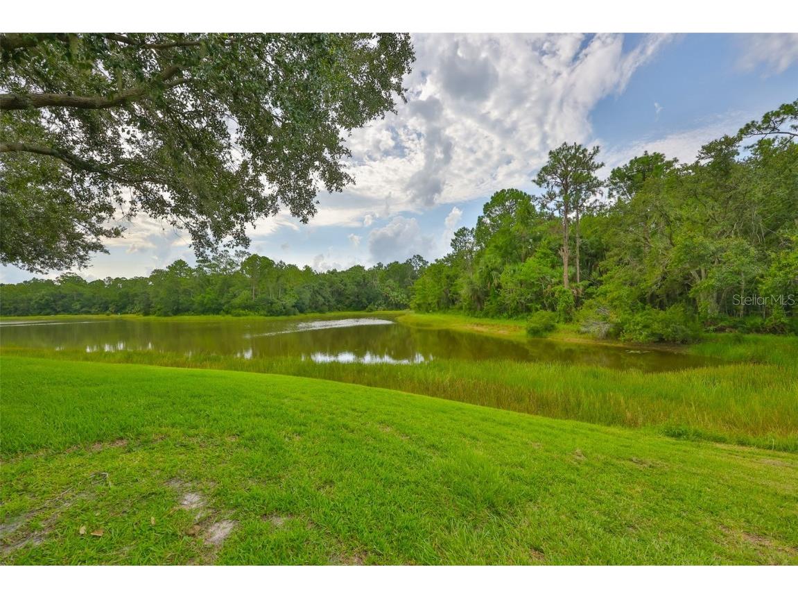 8613 Herons Cove Place Tampa FL 33647 TB8410546 image9