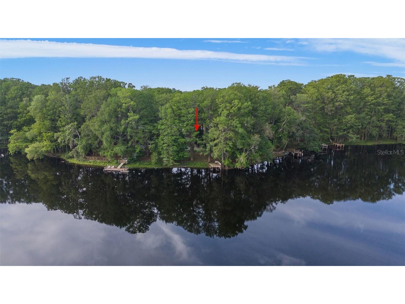 8614 Cameo Drive New Port Richey FL 34654 - LAKE WORRELL U8237395 image1