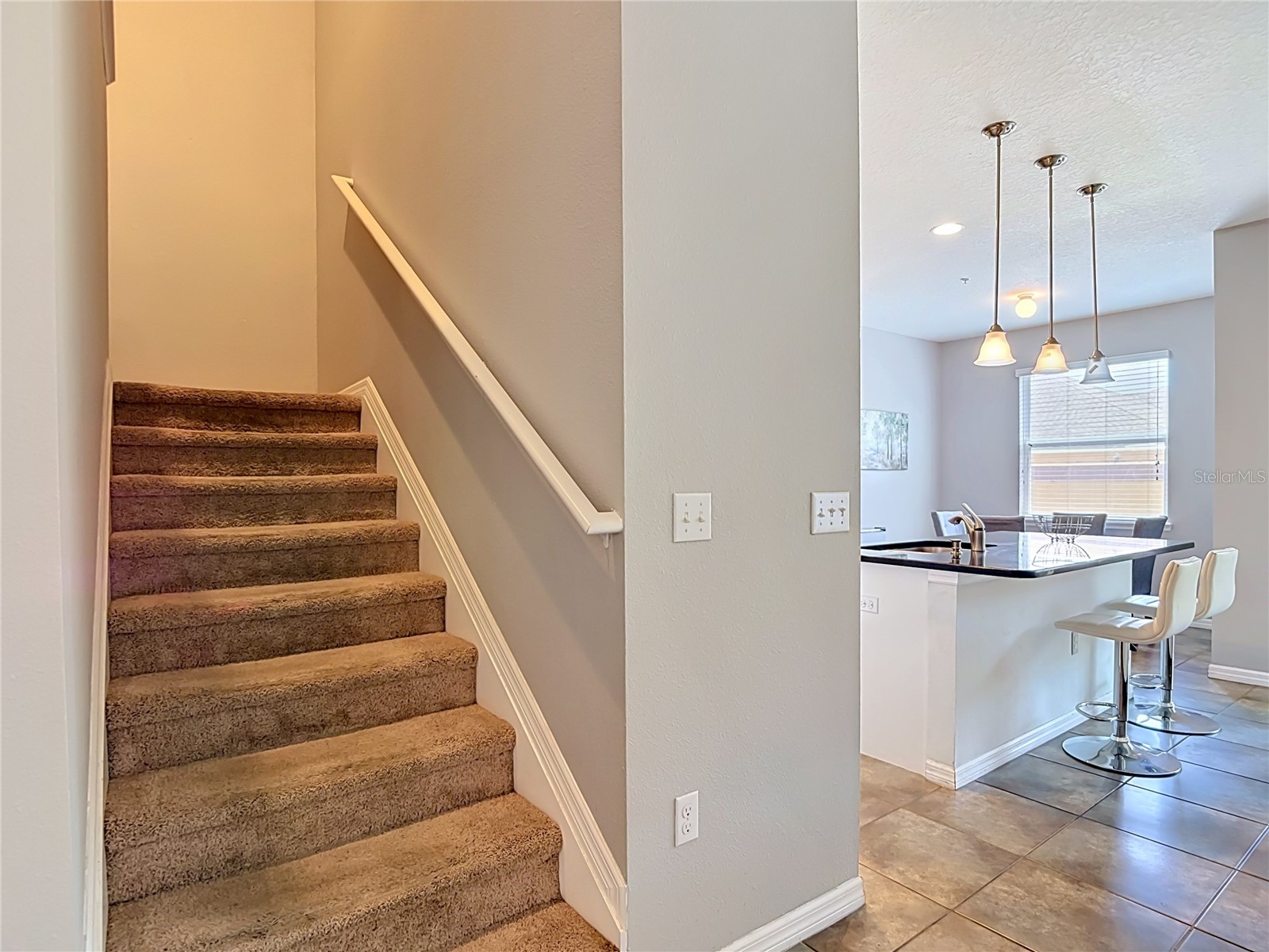 8615 Andalucia Field Drive Tampa FL 33637 TB8507579 image22