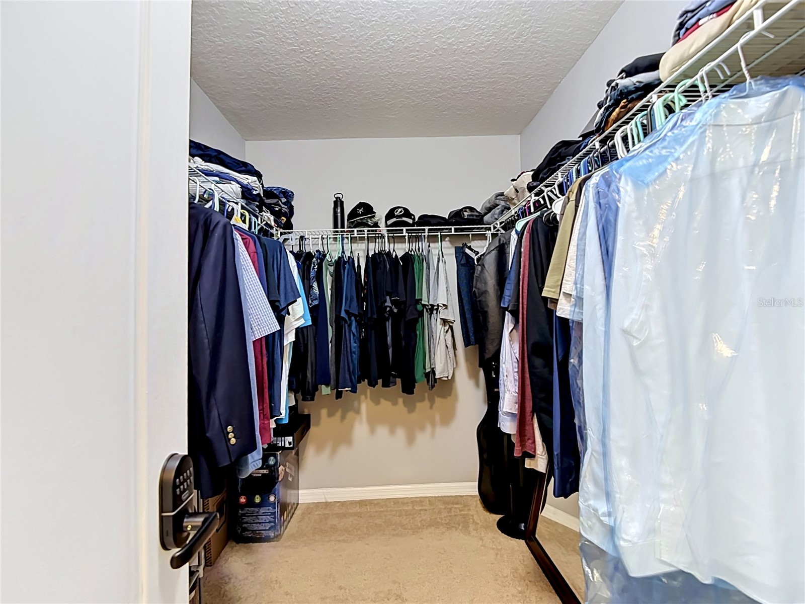 8615 Andalucia Field Drive Tampa FL 33637 TB8507579 image28