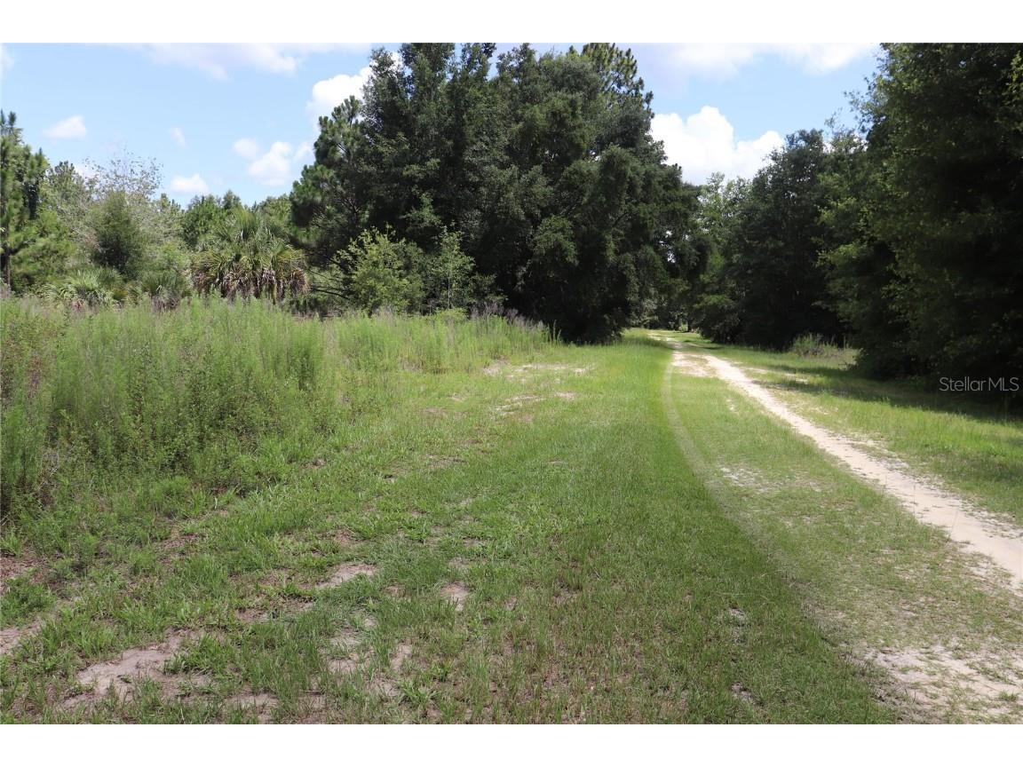 8615 N San Filippo Loop Crystal River FL 34428 OM654940 image1