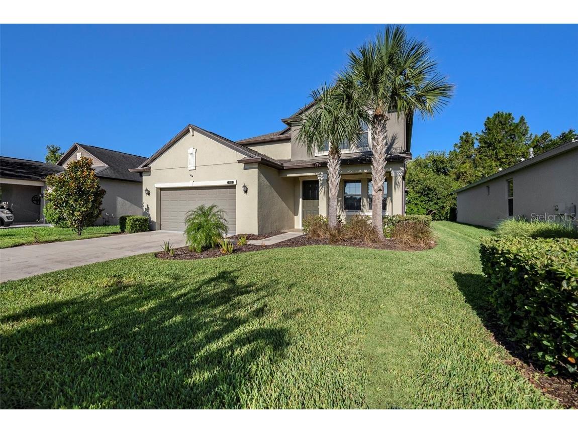 8615 Savory Walk Drive Land O Lakes FL 34637 T3552369 image1