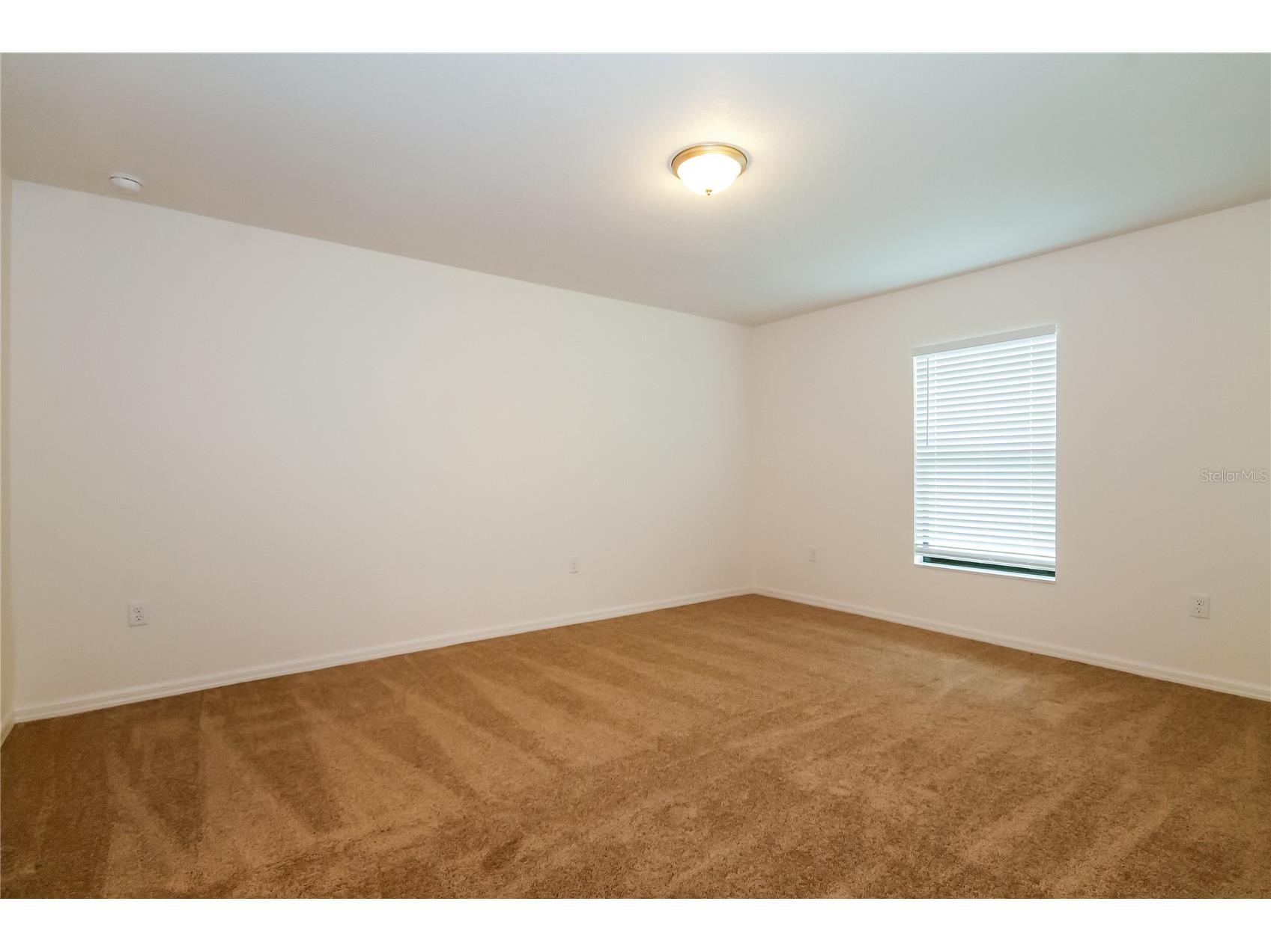 8615 Silverbell Loop Brooksville FL 34613 O6382825 image10
