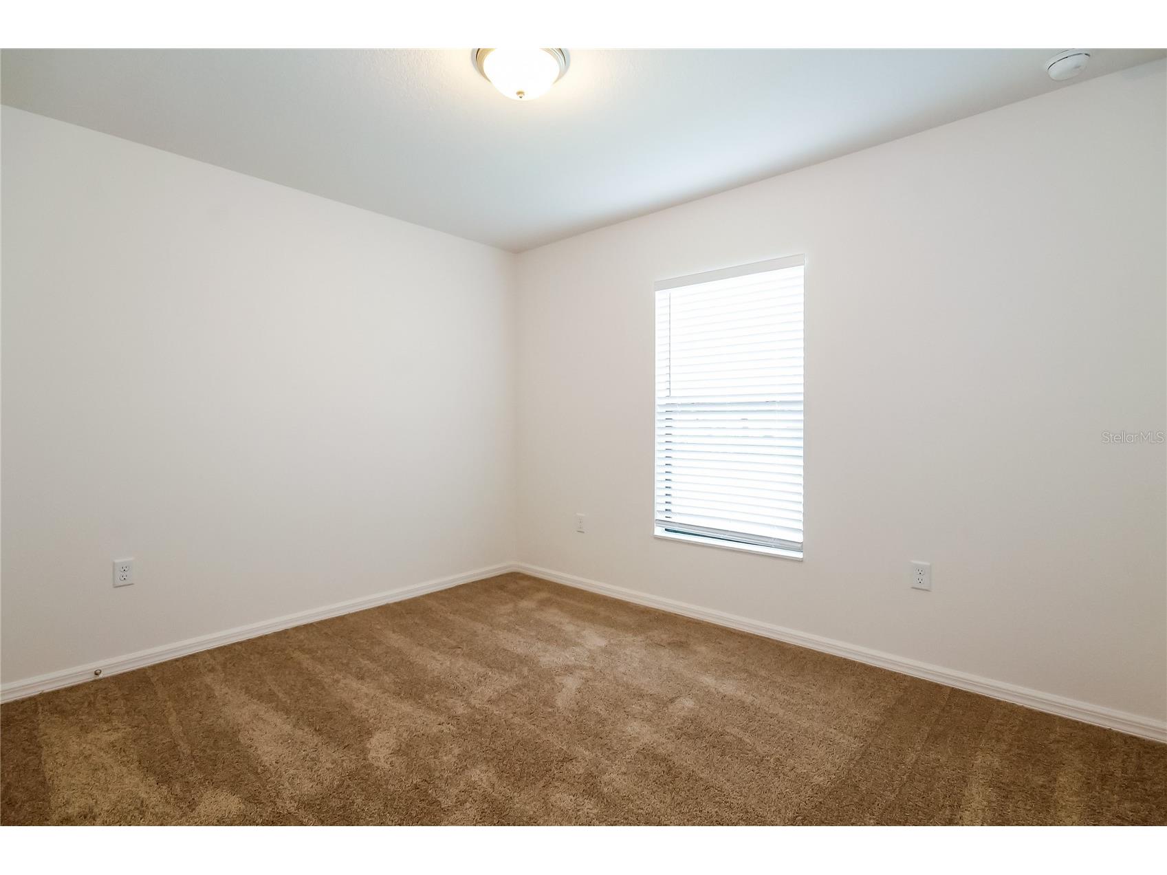 8615 Silverbell Loop Brooksville FL 34613 O6382825 image12