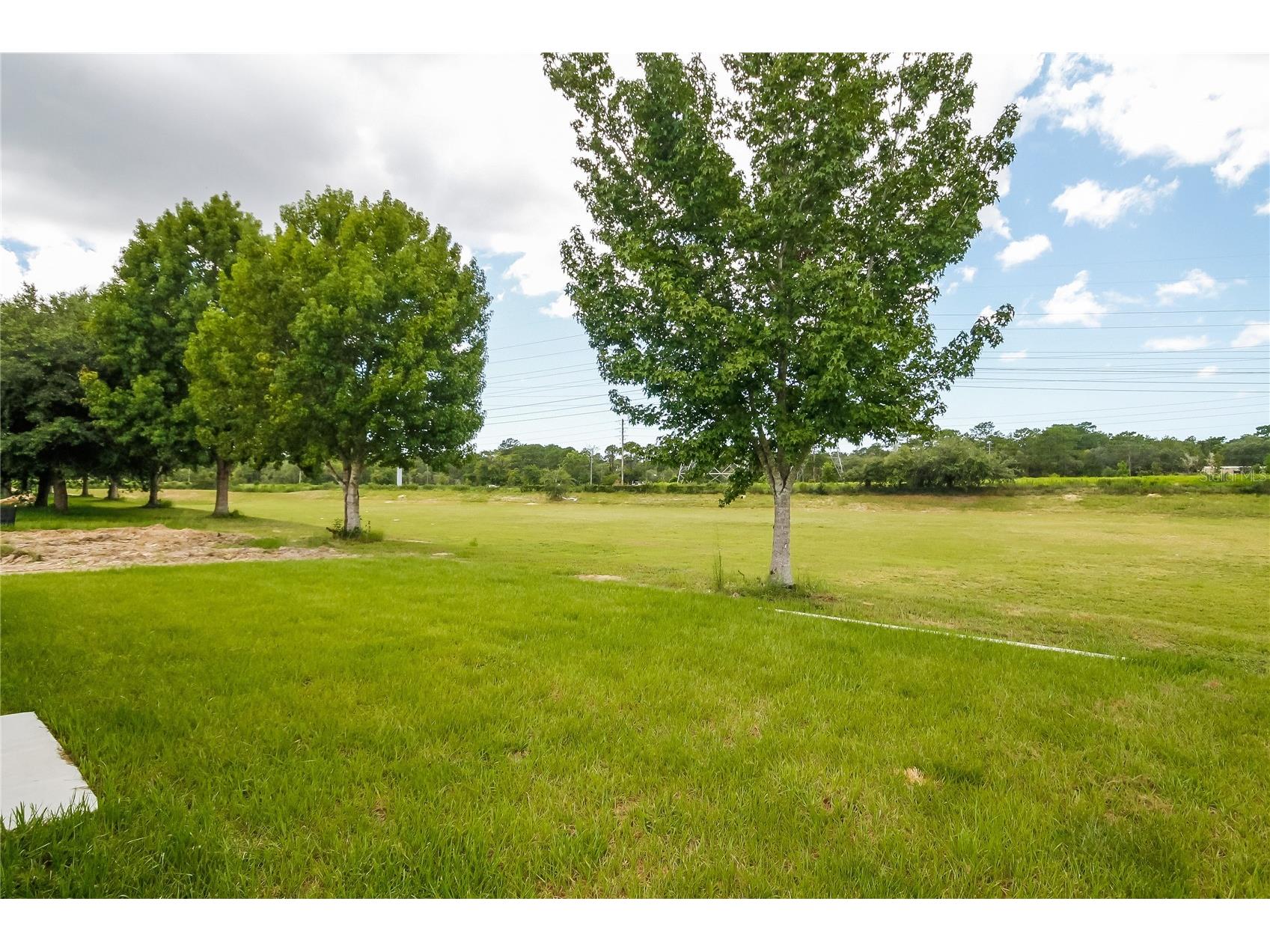 8615 Silverbell Loop Brooksville FL 34613 O6382825 image15