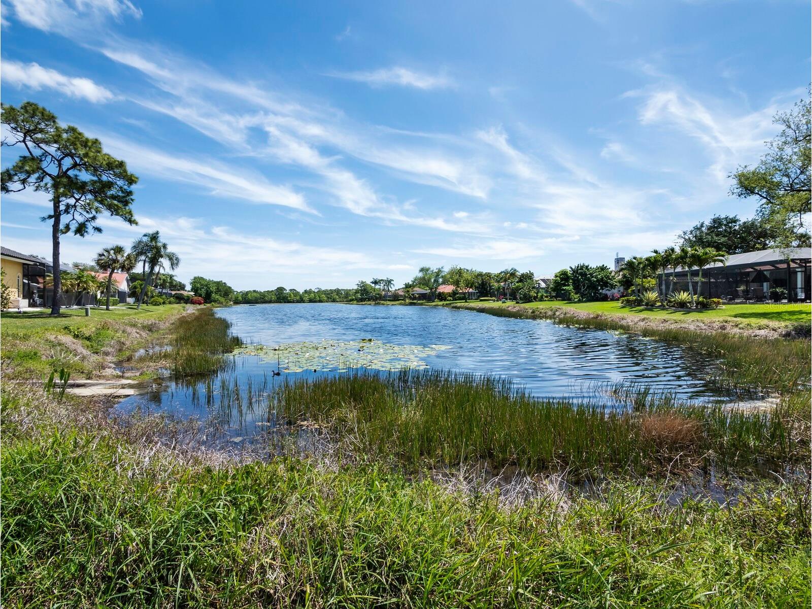 8615 Woodbriar Drive Sarasota FL 34238 A4690117 image47