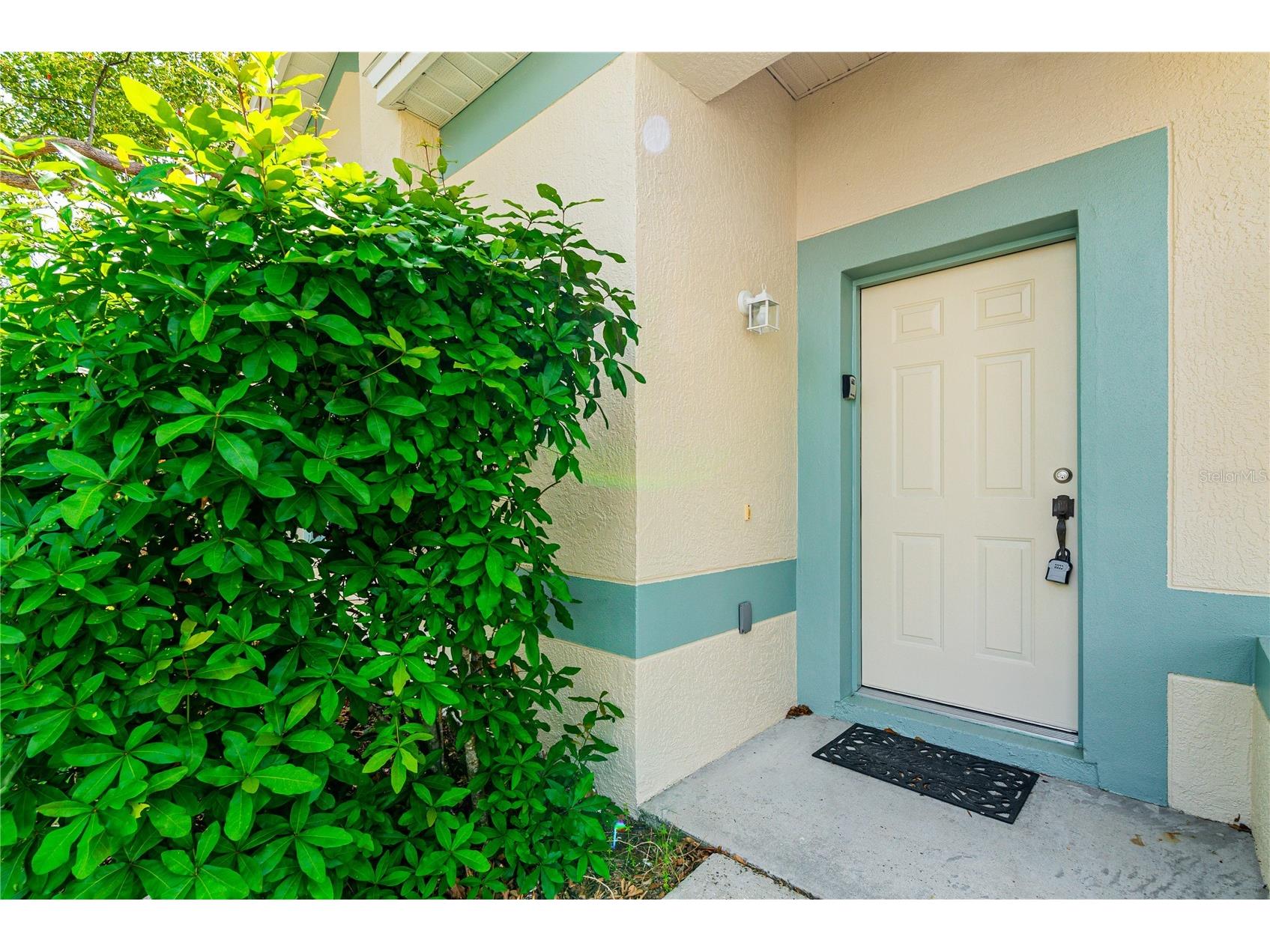 8616 Cavendish Kissimmee FL 34747 S5146648 image31