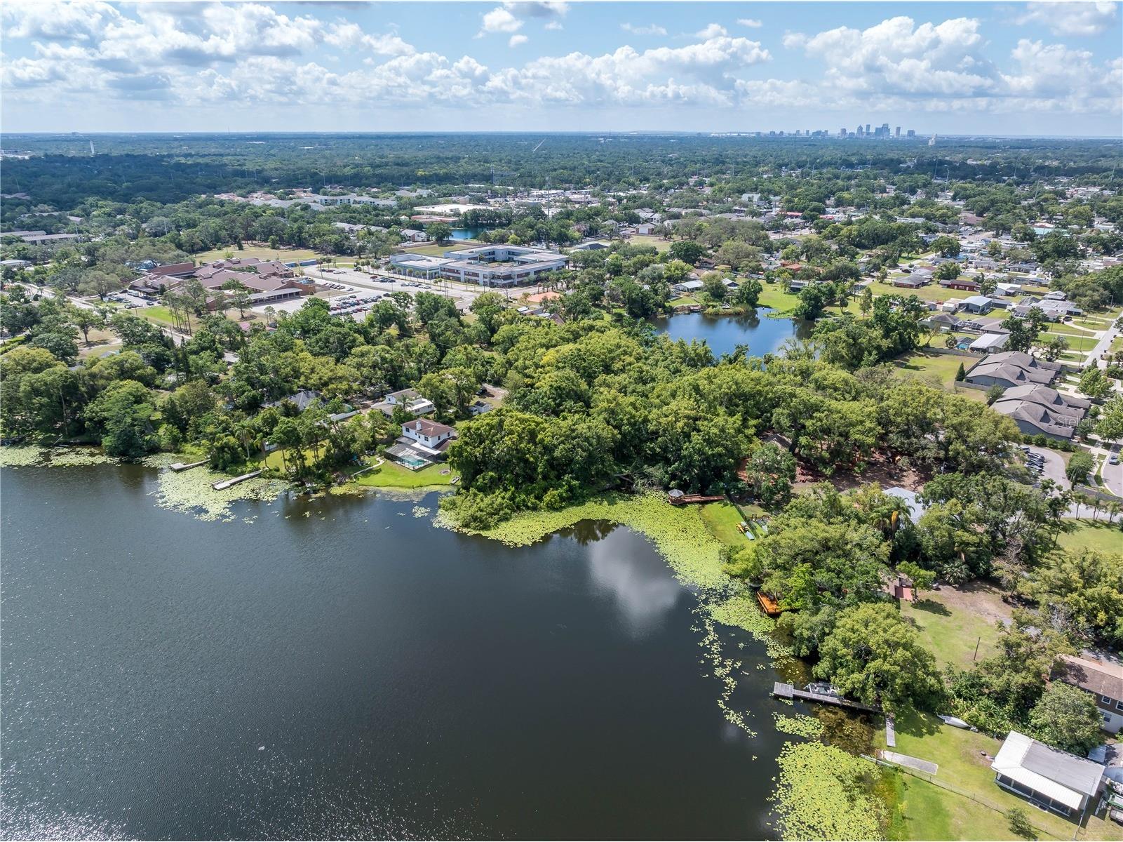 8616 N Habana Avenue Tampa FL 33614 TB8499514 image14