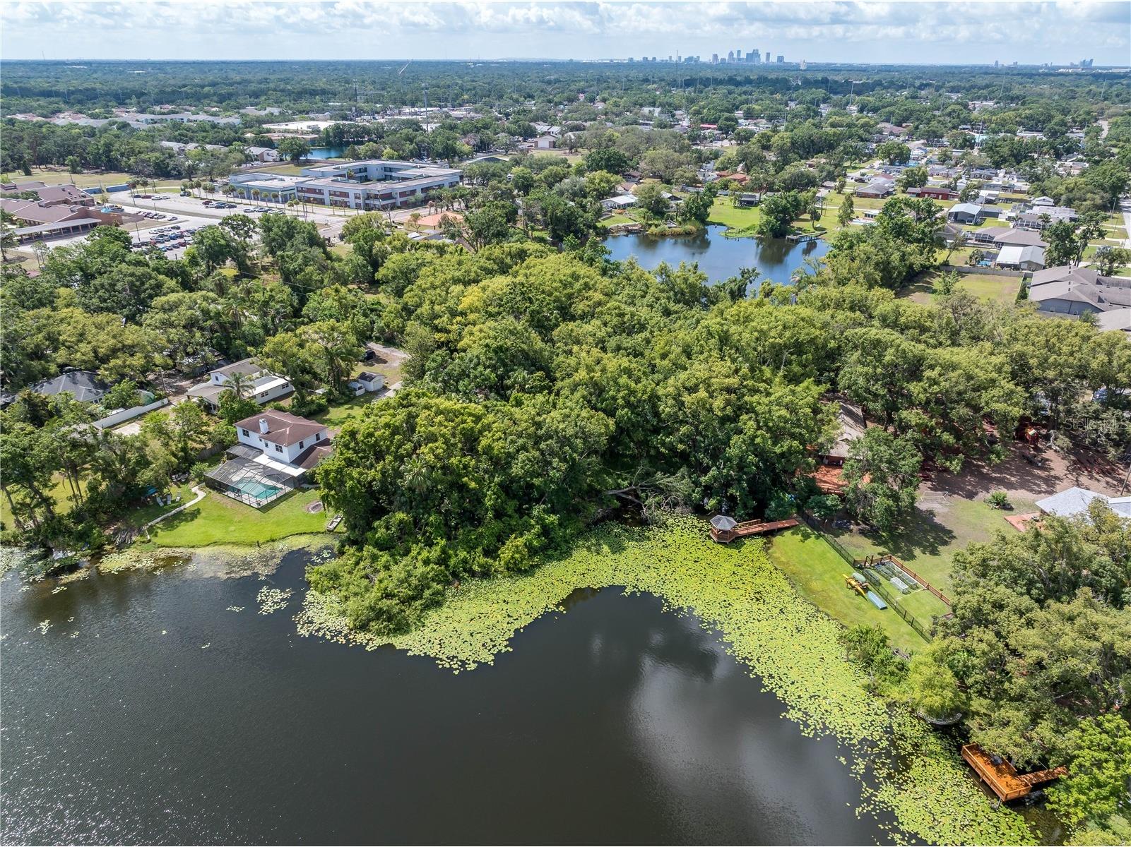 8616 N Habana Avenue Tampa FL 33614 TB8499514 image16