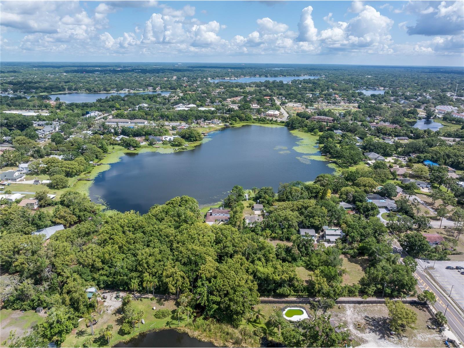 8616 N Habana Avenue Tampa FL 33614 TB8499514 image7