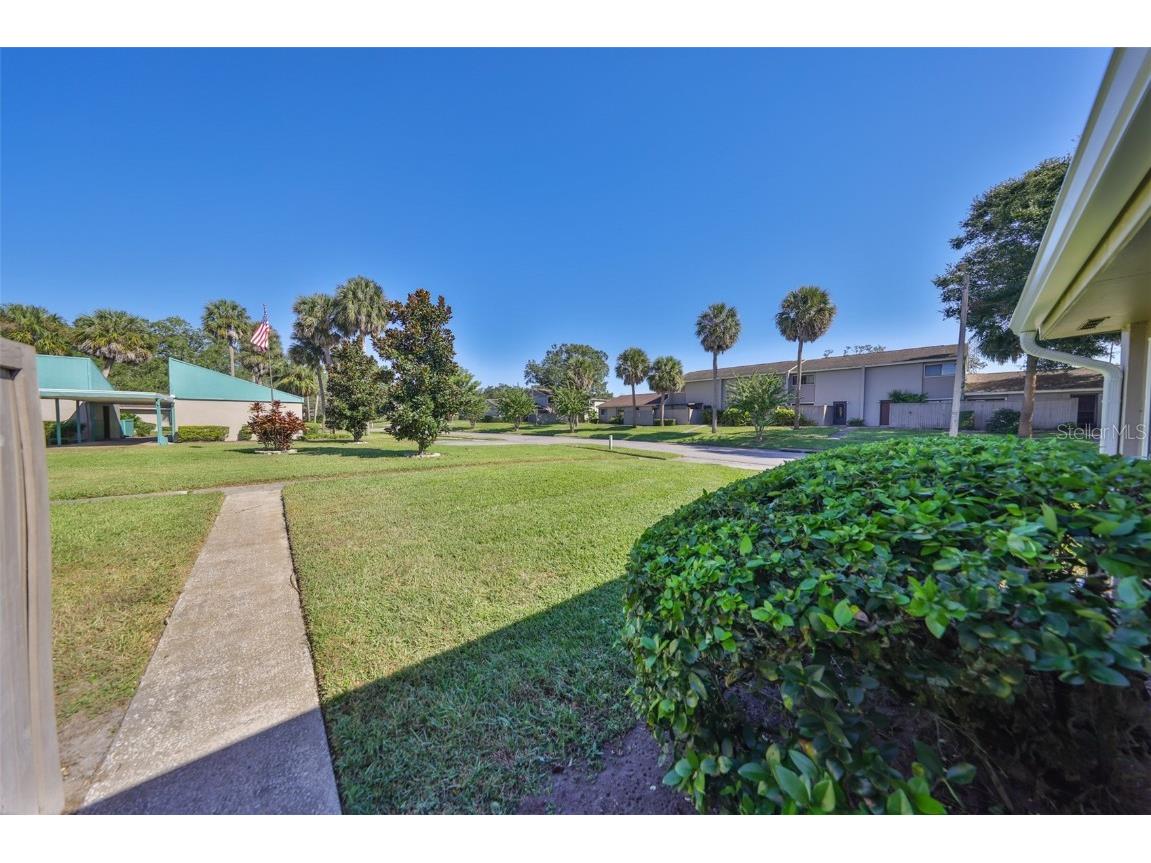 8616 Palm Lane Temple Terrace FL 33637 TB8446896 image28