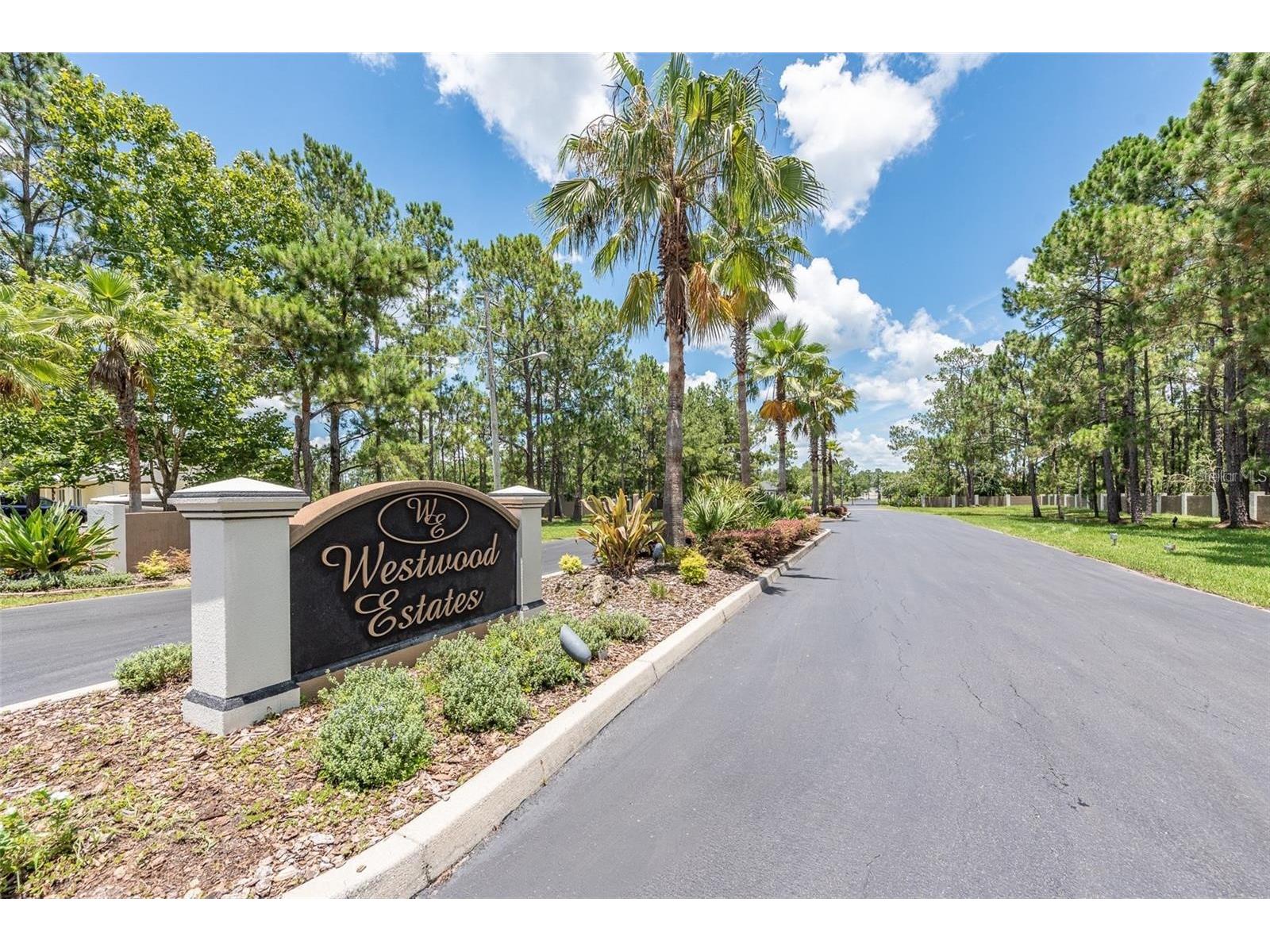 8616 Spring Forest Lane Wesley Chapel FL 33544 TB8529475 image1