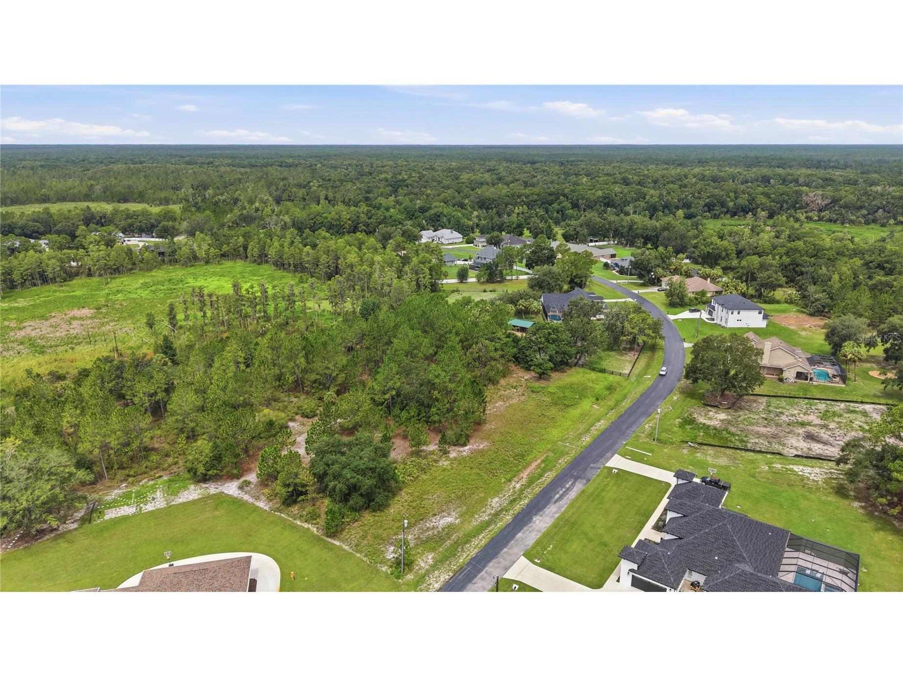 8616 Spring Forest Lane Wesley Chapel FL 33544 TB8529475 image10