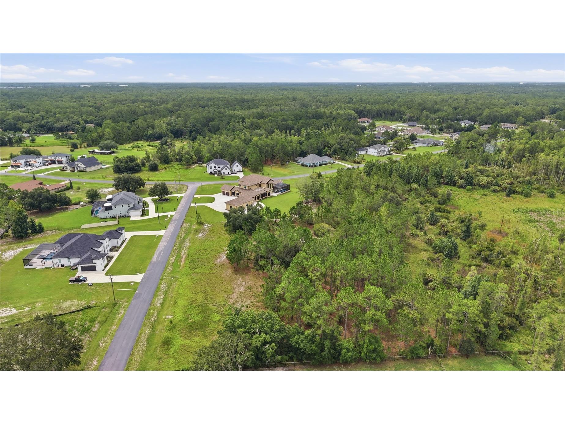 8616 Spring Forest Lane Wesley Chapel FL 33544 TB8529475 image13