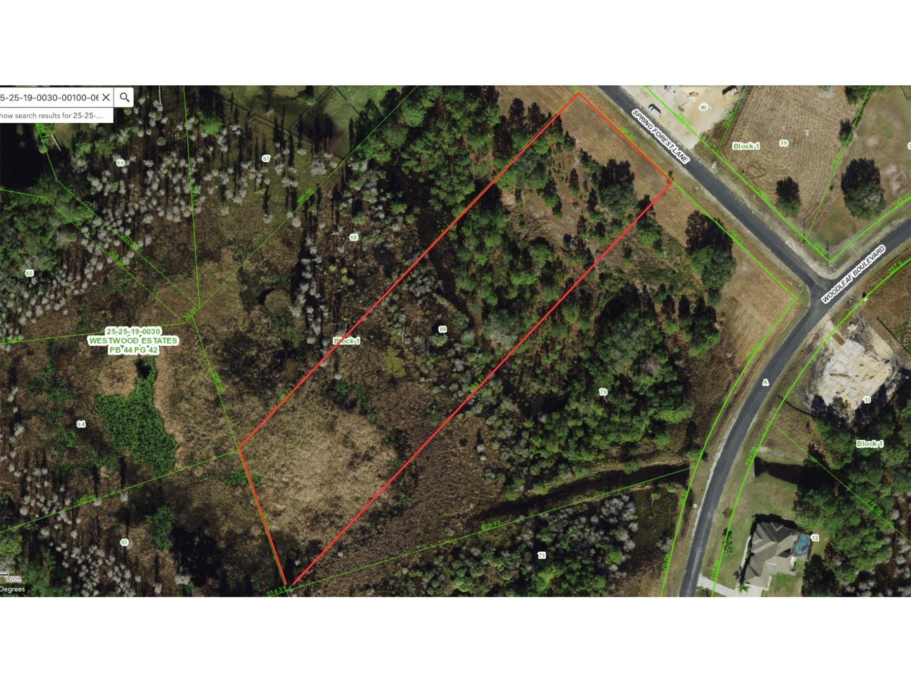 8616 Spring Forest Lane Wesley Chapel FL 33544 TB8529475 image16